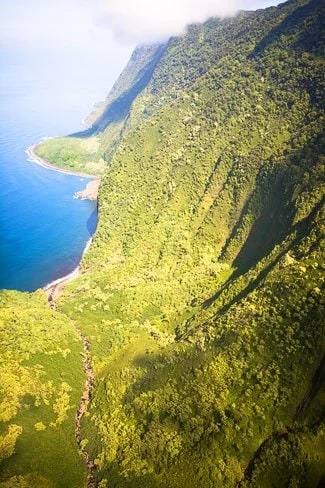Highest sea cliffs in the world! - Photo © Carl Amoth