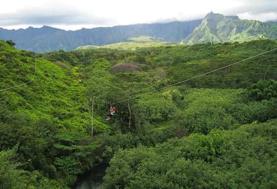 Bev ziplining over a river.